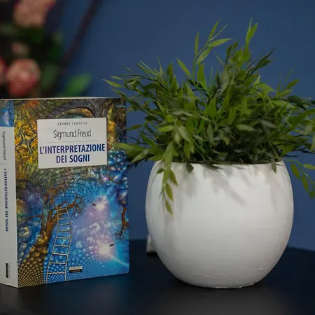 L'angolo Tra Gli Scavi *