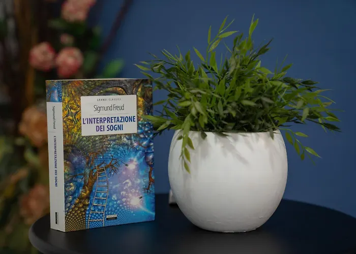 L'angolo Tra Gli Scavi *